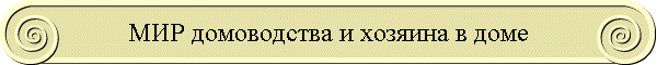МИР домоводства и хозяина в доме