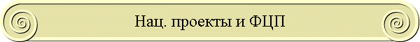 Нац. проекты и ФЦП